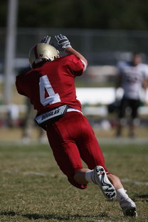 德甲球队视频分析辅助防守站位调整的实证研究，德甲防守最好的球队
